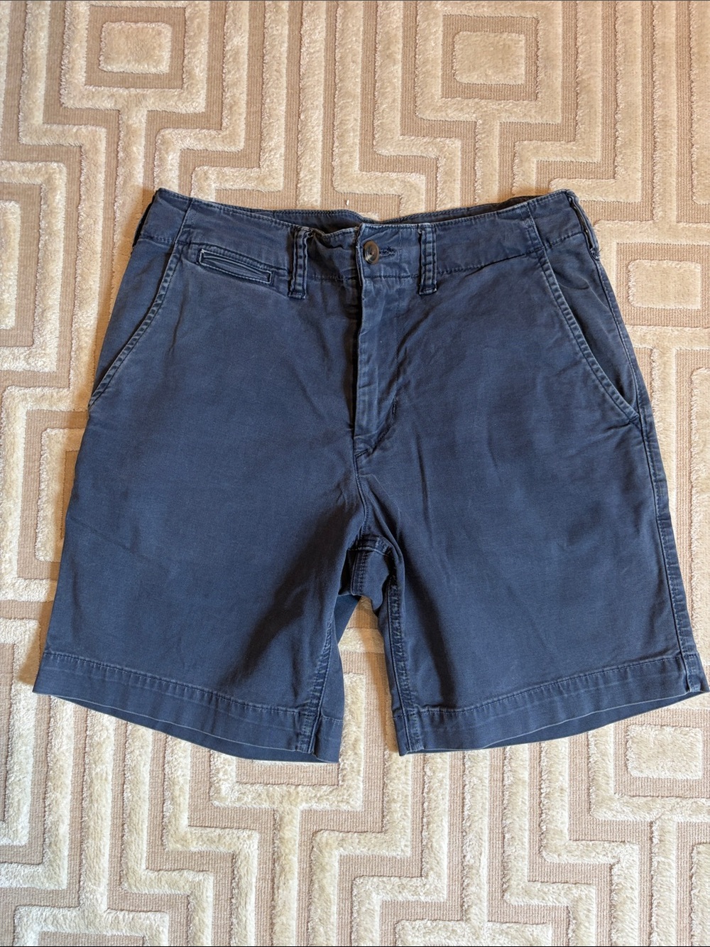 American Eagle Outfitters Navy Flat-Front Men's Shorts